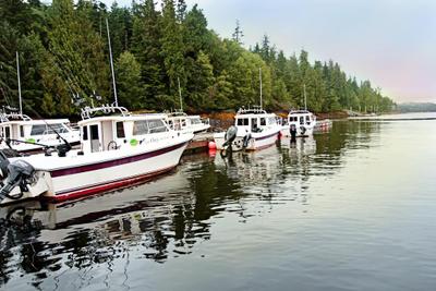 Salmon Falls Resort