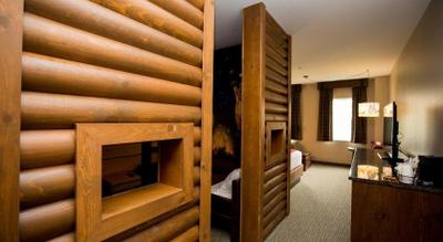 Great Wolf Lodge Gurnee