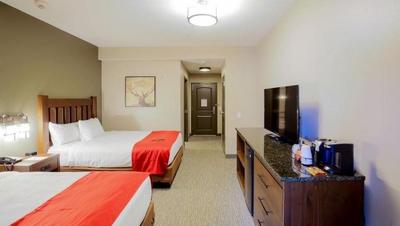 Great Wolf Lodge Gurnee