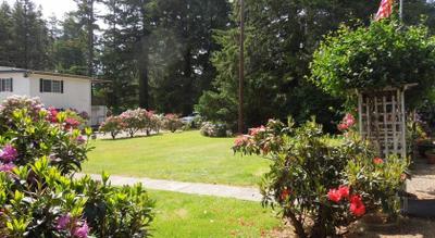Park Motel And Cabins