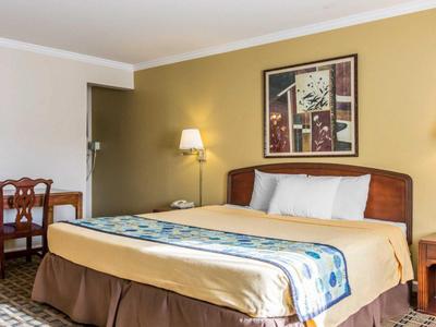 Hotel Lumberjack