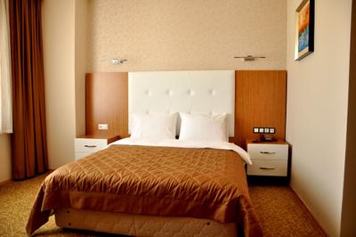 Amazon Aretias Hotel