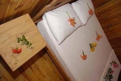 Changa Hotel