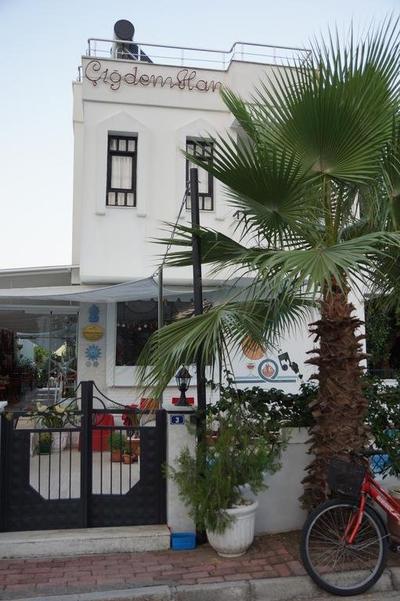 Cigdem Han Kemer
