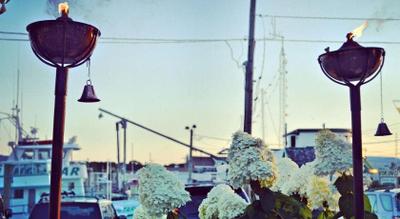 Haven Montauk