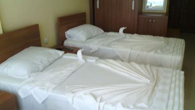 Gray Wolf Hotel
