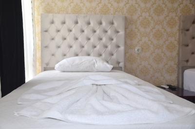 Rozz Hotel 1
