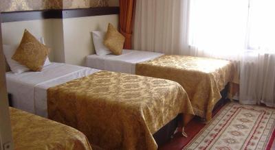 Hotel Falcon