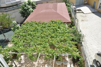 Safak Hotel