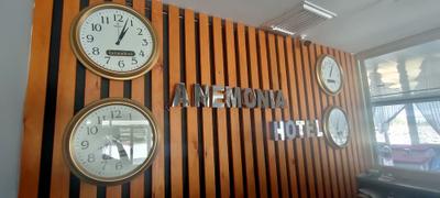 Hotel Anemonia