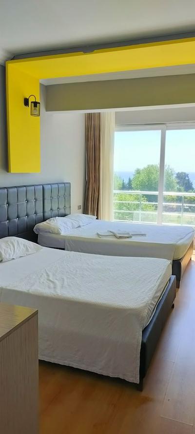 Hotel Anemonia