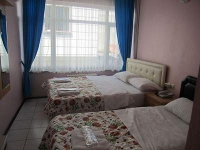 Hotel Efe