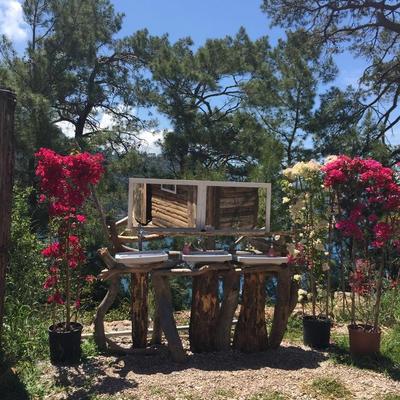 Gemile Camping