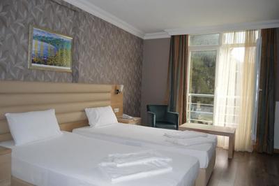 Hotel Kale Palace