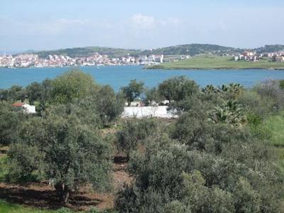 Hotel Selina