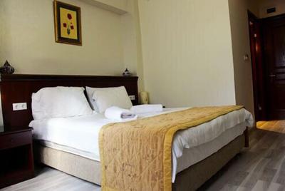 Elisa Hotel