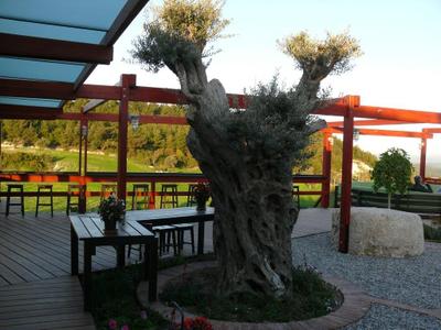 Urla Bağevi