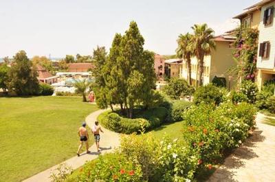 Lonicera Garden