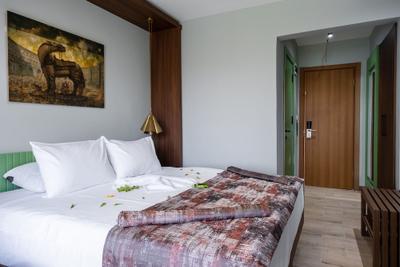 Assos Troy Otel