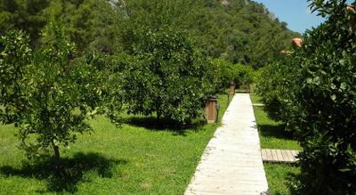 Azra Villas