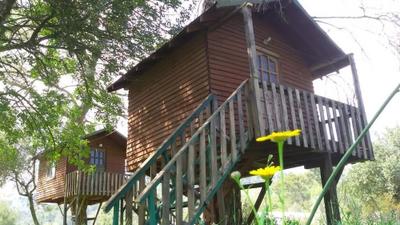 Olympos Woods