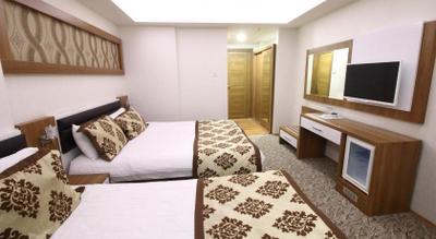 Afyon Grand Arı Hotel