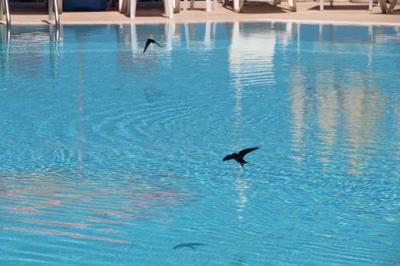 Apart Hotel Ege
