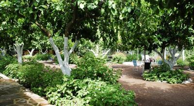 Izci Apart Hotel