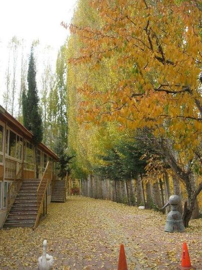 Alanlar Alabalik ve Otel