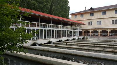 Alanlar Alabalik ve Otel