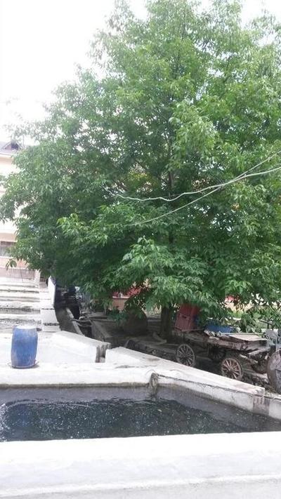 Alanlar Alabalik ve Otel