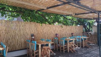 Turtle Beach Bungalows
