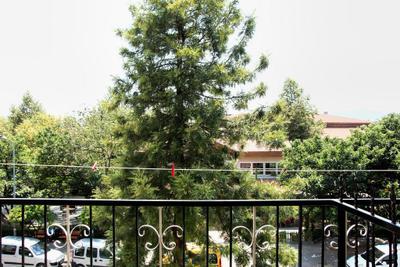 Dreams Hotel