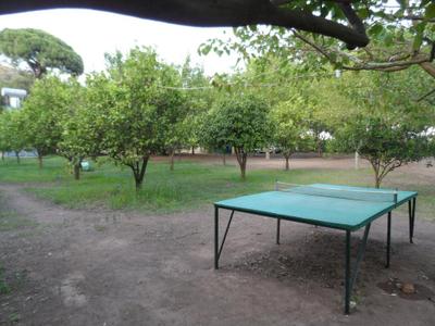 Engin Pansiyon & Camping