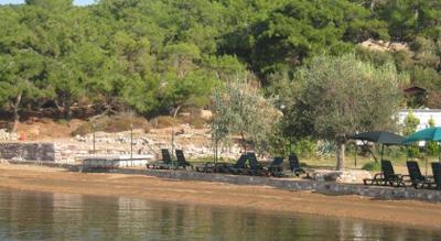 Ada Camping