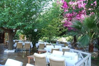 Oleander Pension