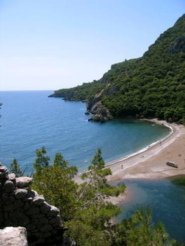 Acar Pension