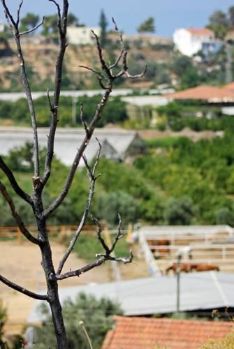 Isa M Guesthouse