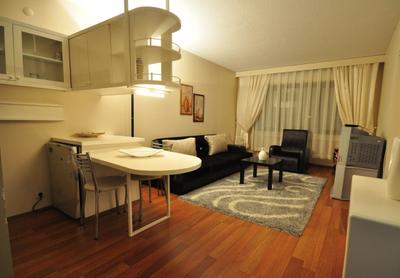 Rental House Istanbul Atakoy