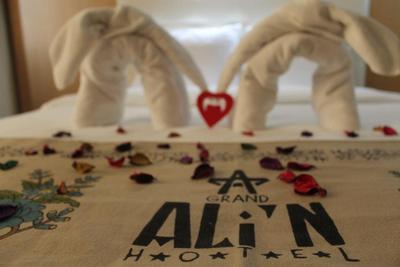 Grand Alin Hotel