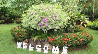 White Elephant Resort