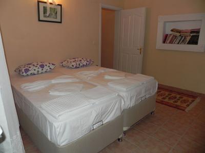 Dalyan Palace