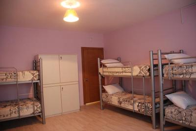 Puffin Hostel