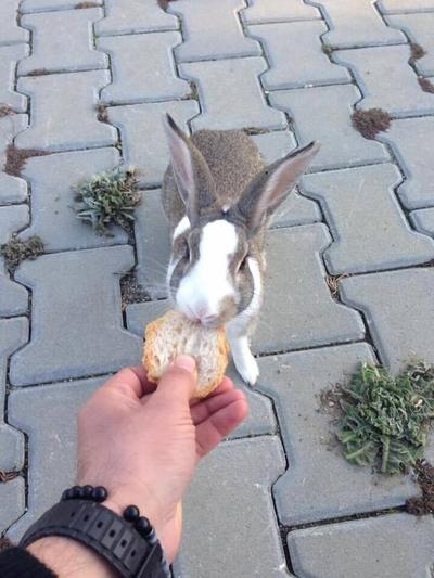 Ona Keyf
