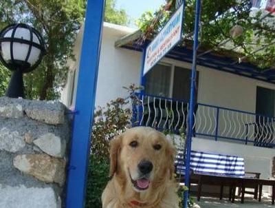 Mavi Akvaryum Otel