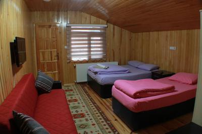 Uzungol Motel