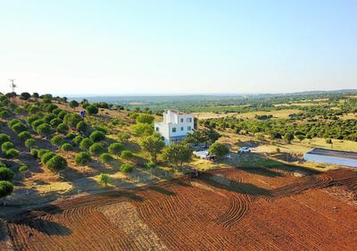 Troy Ezine Farm