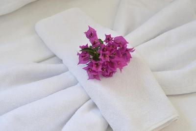 Pine Forest Hotel