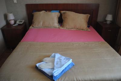 Asya Hotel Darica