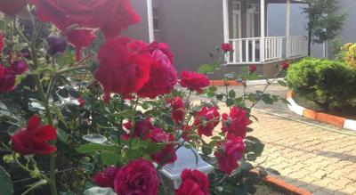 Shila Tatil Koyu